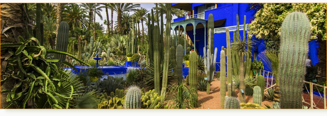Visit Best Gardens in Marrakech