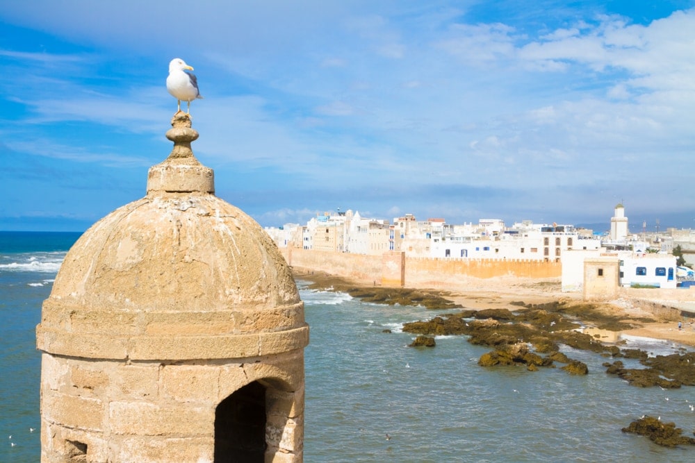 3-day Casablanca tour to Marrakech and Essaouira Atlantic coast — alternative view