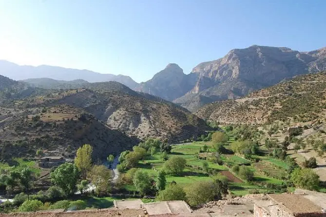 Middle Atlas mountains day trip from Fes — Ifrane and cedar forests