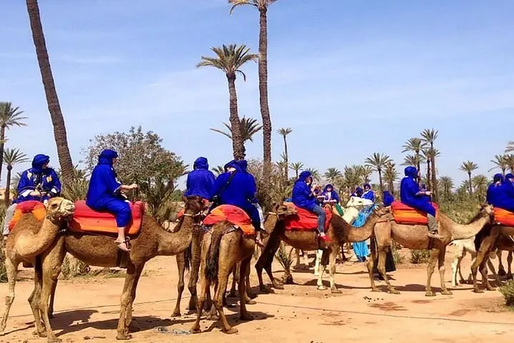 Camel ride through the Marrakech palm grove palmeries