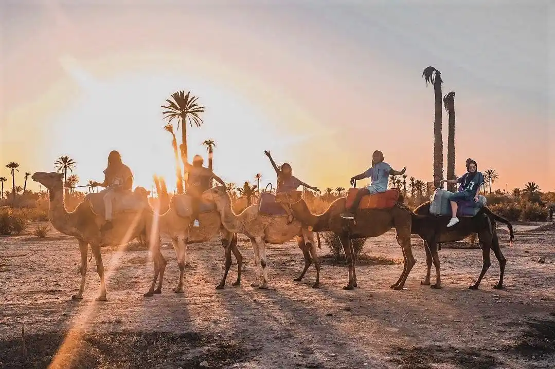 Camel ride through the Marrakech palm grove palmeries — alternative view