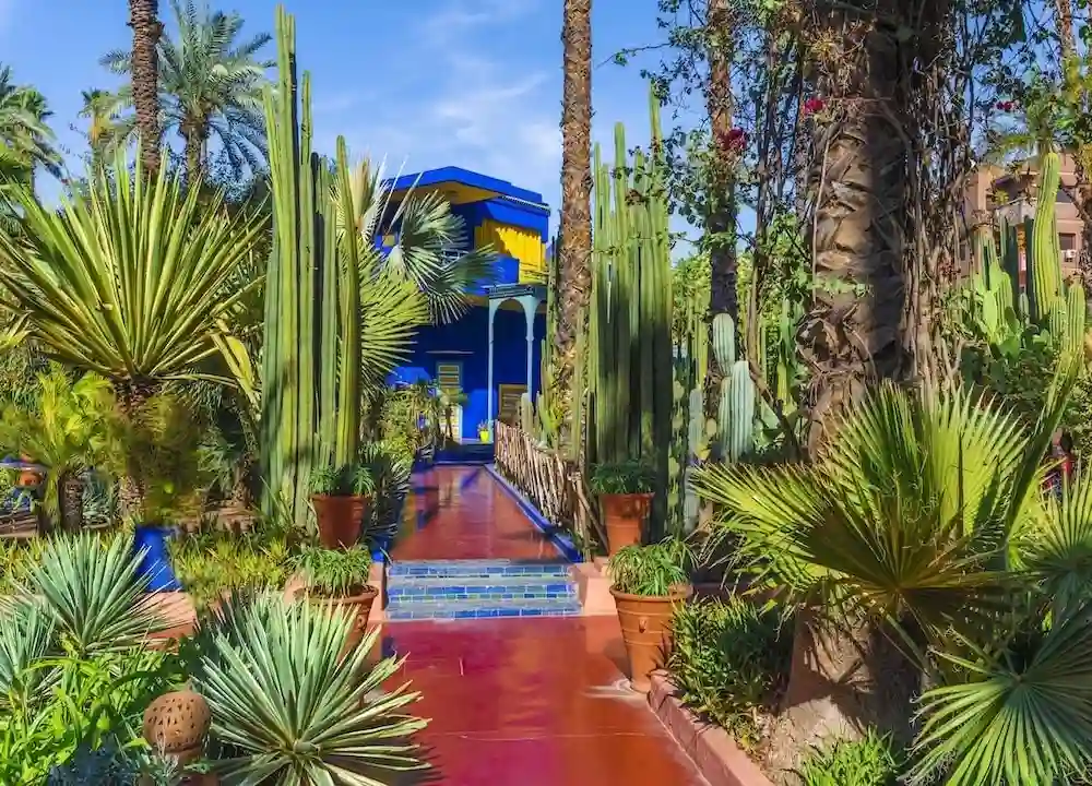 Majorelle Gardens and Menara Gardens half-day guided tour in Marrakech