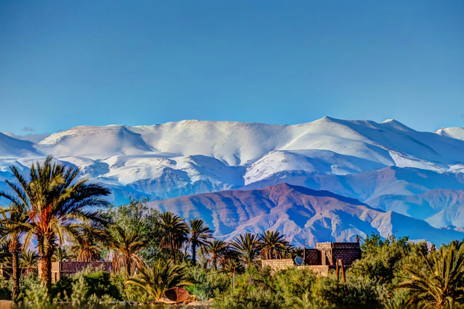 Snow-capped High Atlas peaks rising behind a green palm oasis and kasbah — guided Atlas mountain treks in Morocco