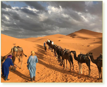 Tour from Ouarzazate