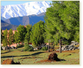 Atlas mountains day trip from Fes