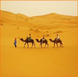 2 Day Tour from Agadir To Zagora Desert